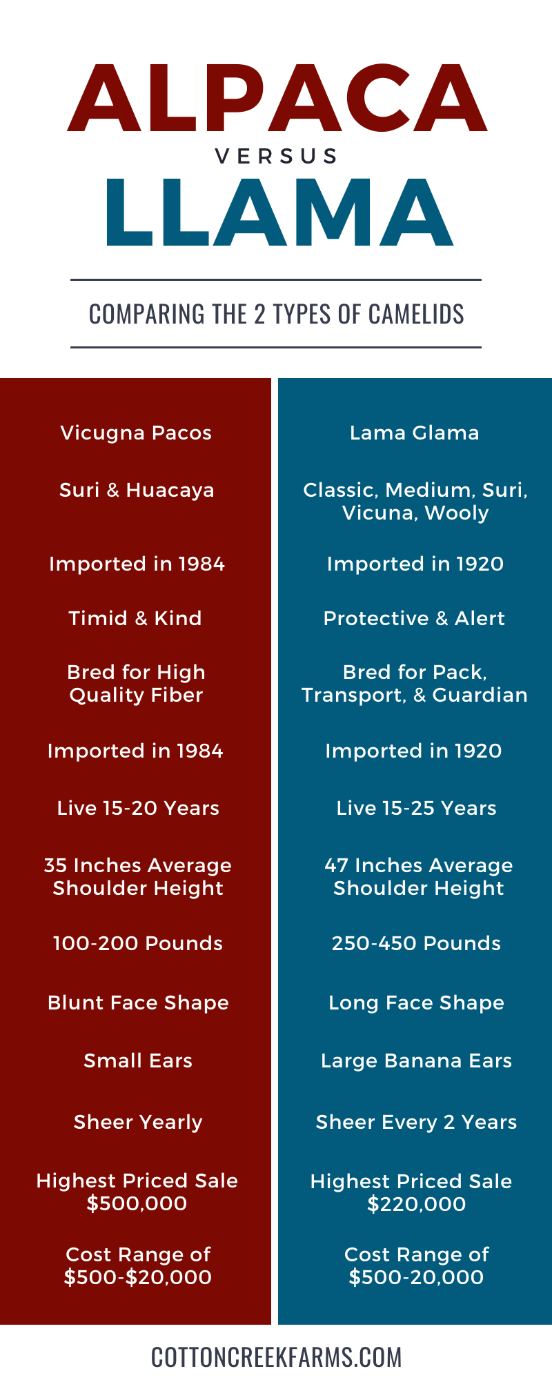 Alpaca vs Llama Infographic