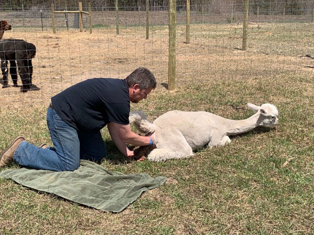 Ariana in Labor With Jason Helping