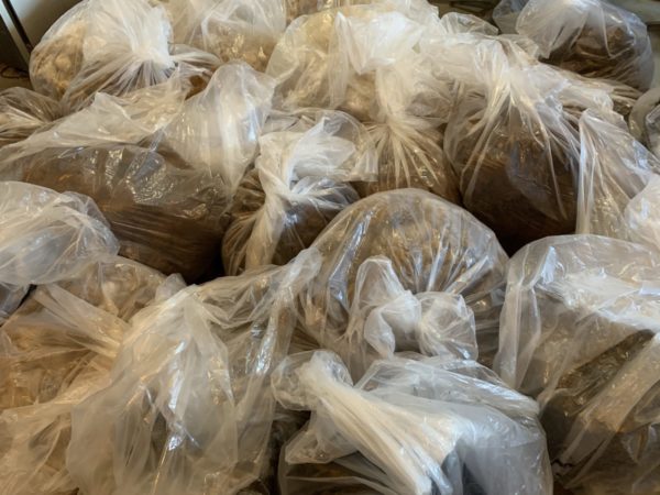 Bags and Bags of Alpaca Fiber