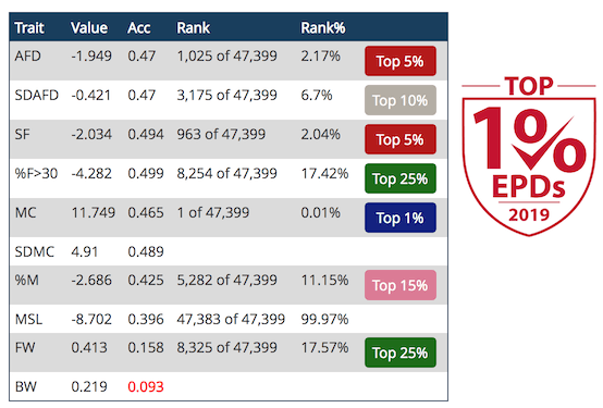 Top 1% EDP for 2019 - Grace