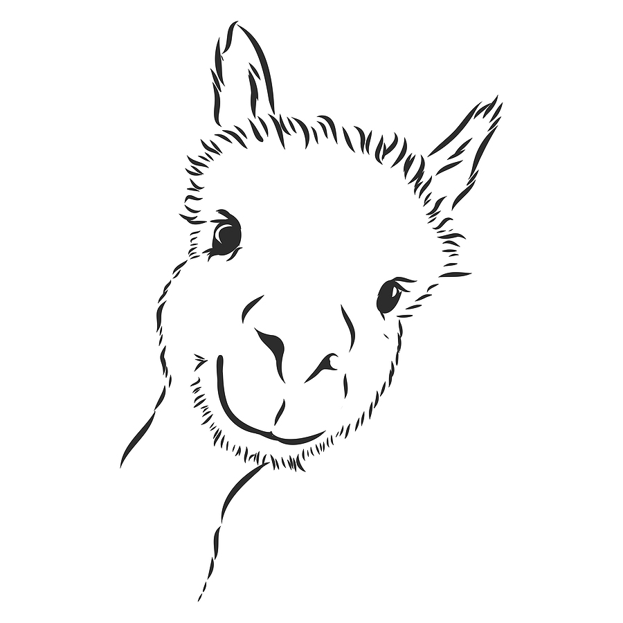 Alpaca Head Cartoon