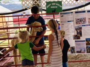 Alpaca Lessons and Love With Adel
