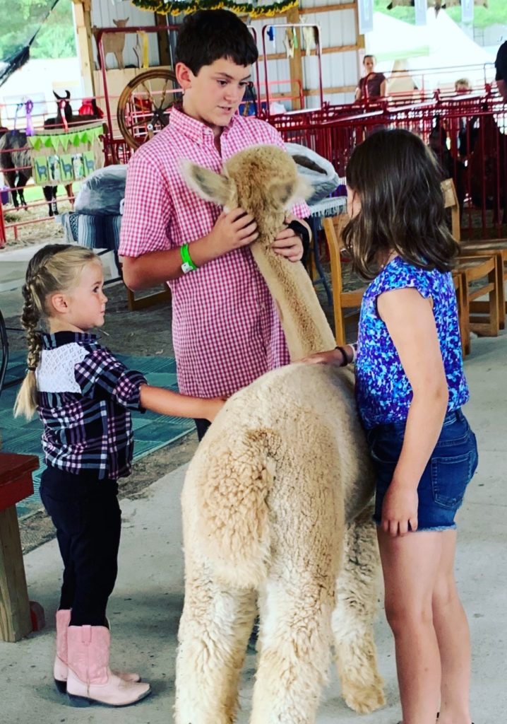 Hunter and Adel Making Friends in the 4-H Barn