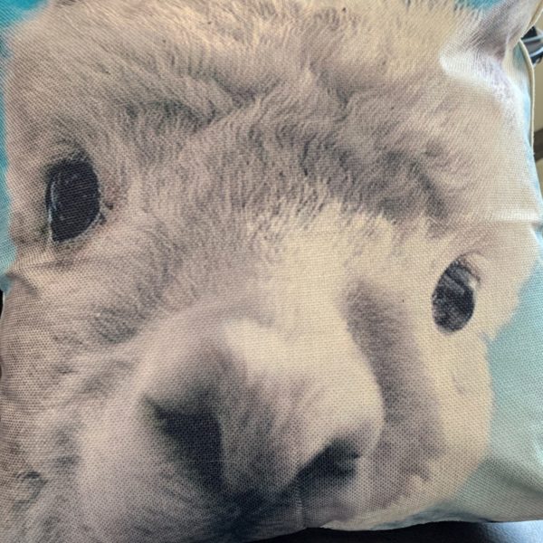 Alpaca Face Pillows