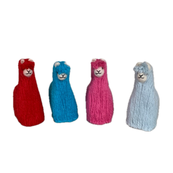 Colorful Mini Suri Alpacas