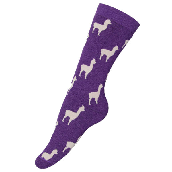 Alpaquita Unisex Socks in Purple