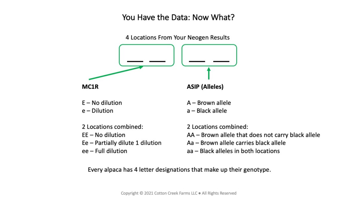 4 Locations of Alpaca Color Testing Data