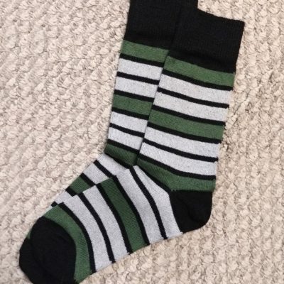 PL Schoodic Alpaca Sock in Fern Stripe