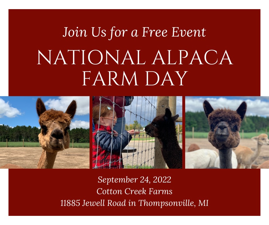 National Alpaca Farm Day 2022