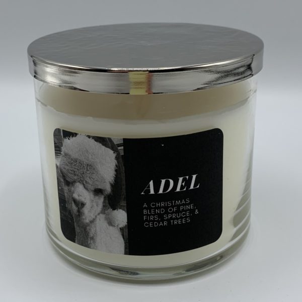 Adel Soy Candle