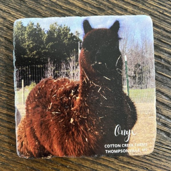 Onyx Alpaca Coaster
