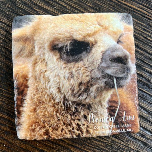 Monica Ann 4"x4" Coaster