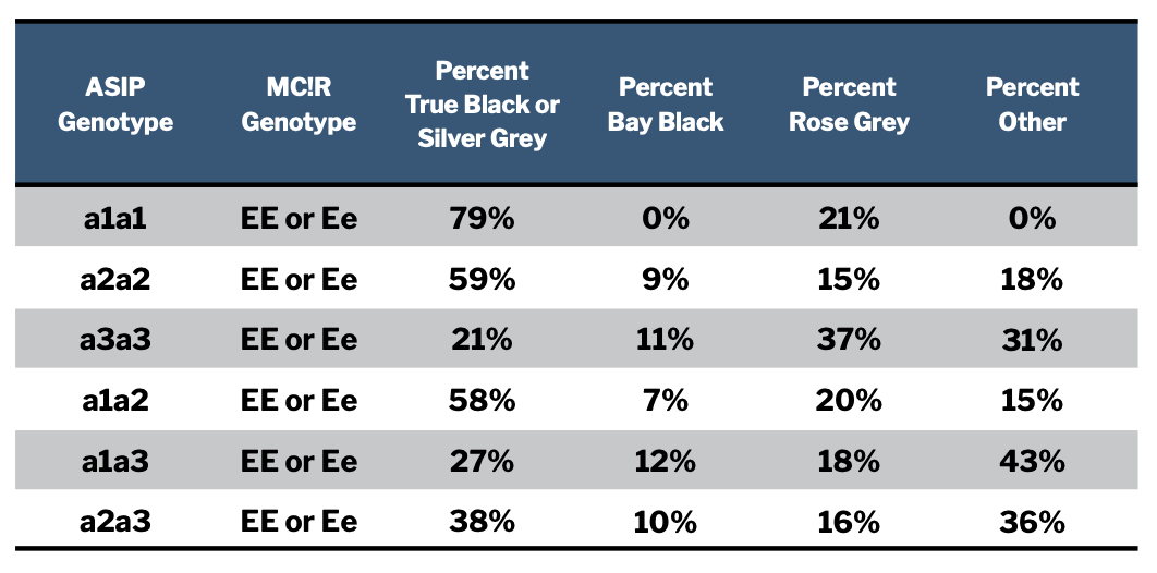 Figure 2 - Black ASIP Genotypes And Associated Phenotypic Color Results