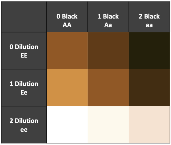 Expected Average Depth Of Color For Different Alpaca Genotypes