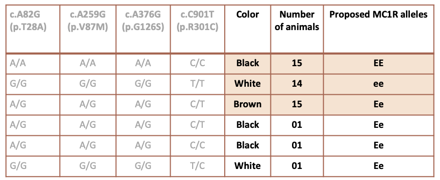 The MC1R Genotypes And Phenotypes of Peruvian Alpaca