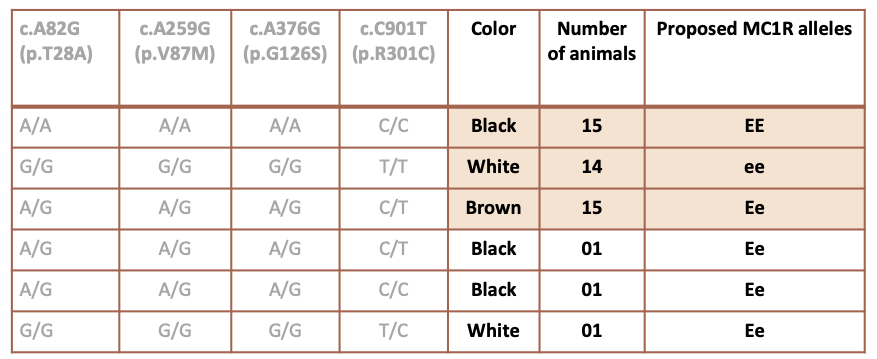 Color Genotyping of Alpacas: What We Are Learning