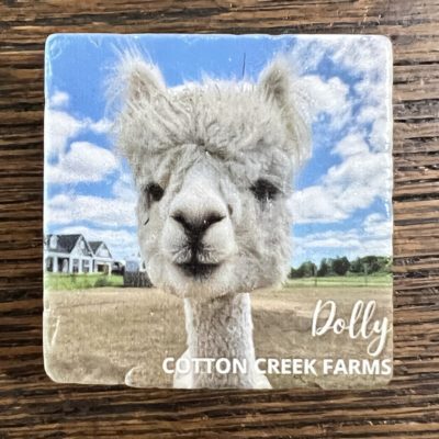 Dolly 2" x 2" Marble Magnet