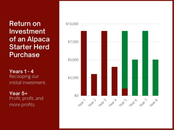 Alpaca Starter Herd ROI 