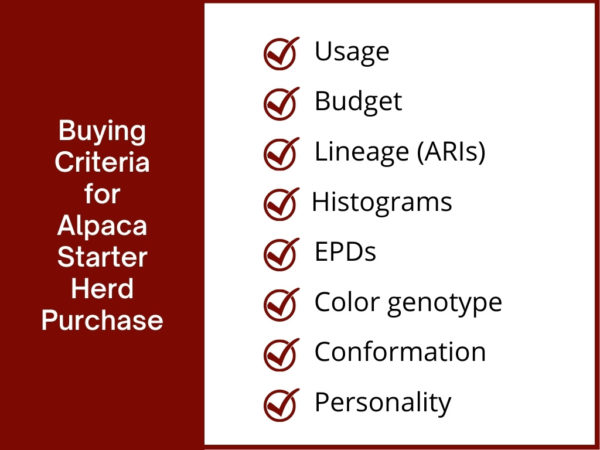 Alpaca Starter Herd Buying Criteria