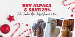 2023 Black Friday Alpaca Sale