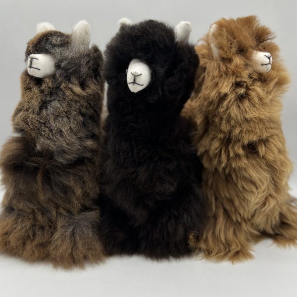 11" Stuffed Alpacas in Dark Natural Colors