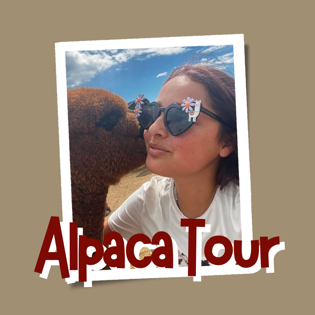 Alpaca Tour Photo of Patrick Kissing Attendee