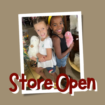 Two Girls Shopping in the Alpaca Store