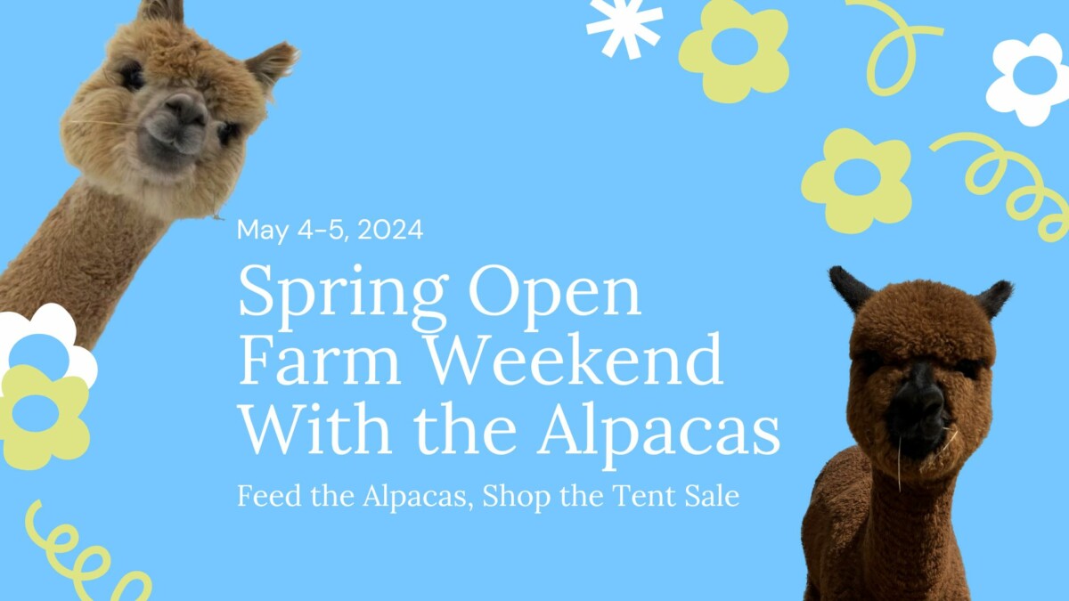 Spring Farm Open Weekend