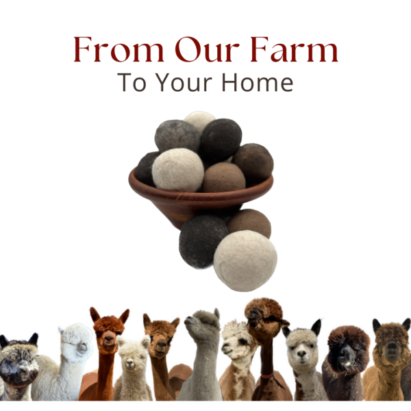 From Our Farm to Your Home