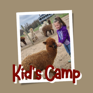 Kids Camp - Young Girl and an Alpaca