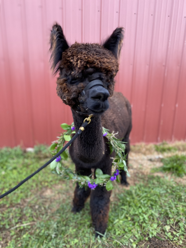 Amara With Flowers