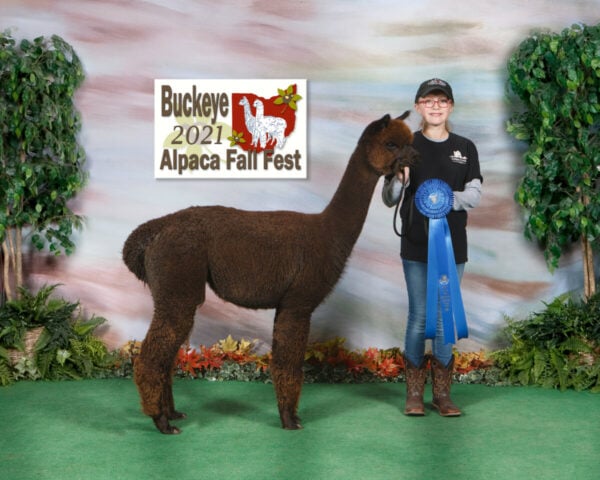 Tess and Vicki at 2021 Buckeye Alpaca Fall Fest