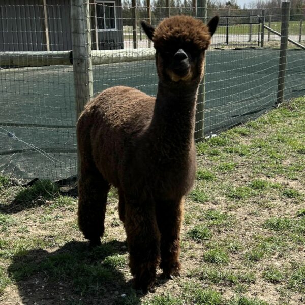 Vicki April 2024