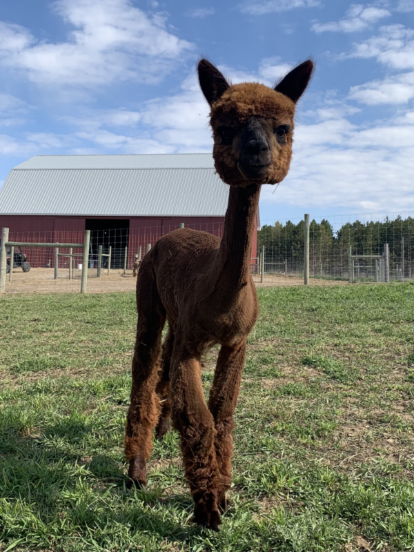 vicki-tall