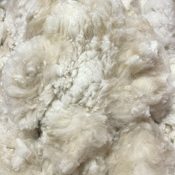 Santrelle Raw Alpaca Fiber in White