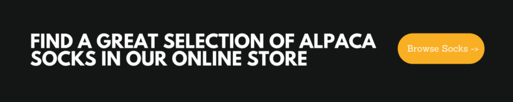 Buy Alpaca Socks Online Call to Action