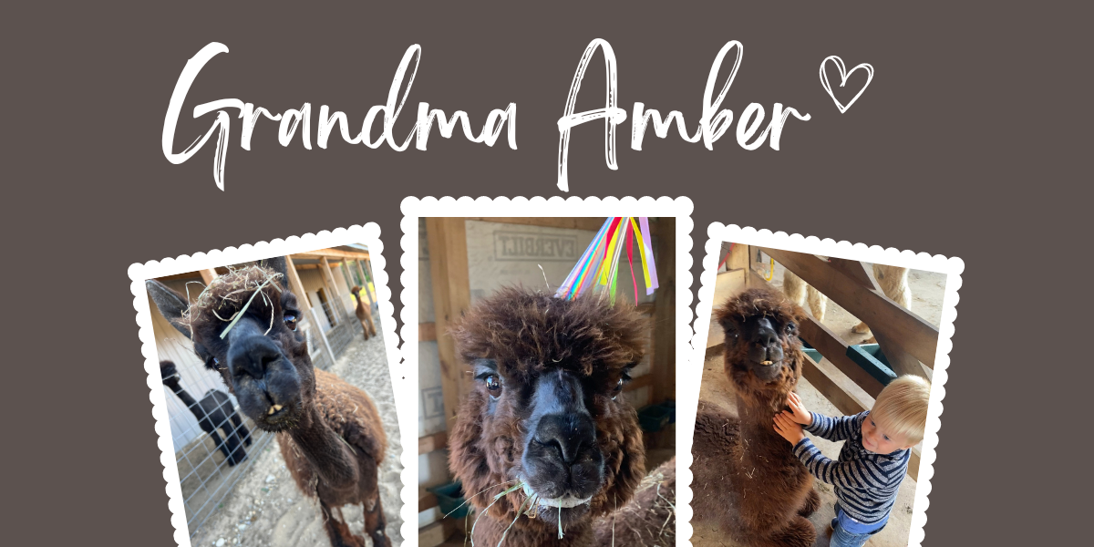 Grandma Amber Post Cover