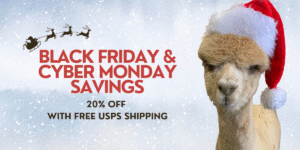 Black Friday Blog Post Image