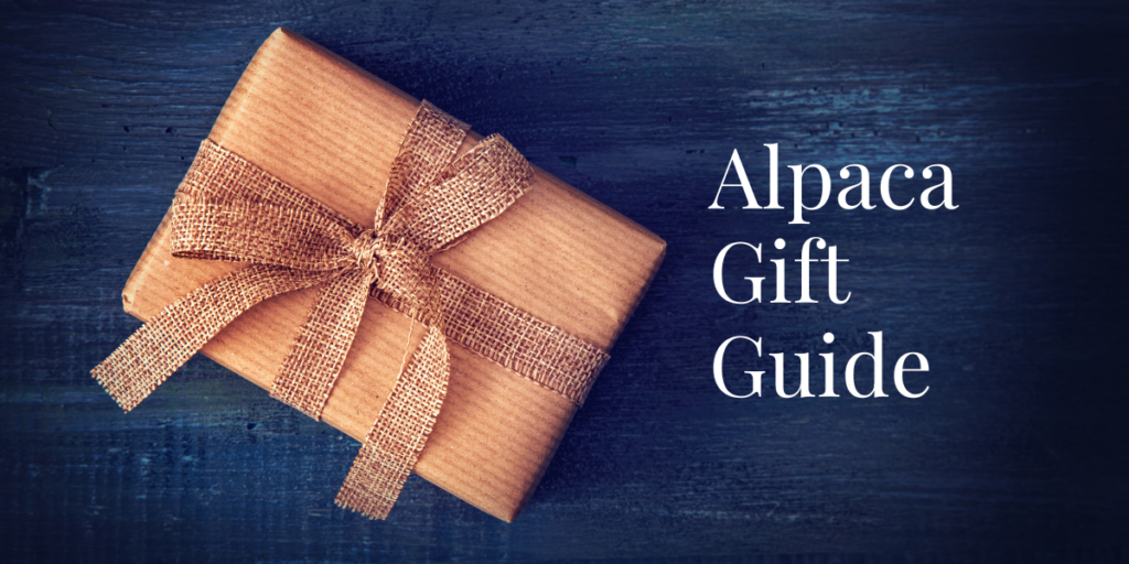Wrapped Gift