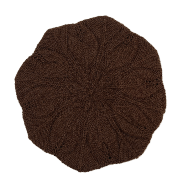Brown Alpaca Beret Hat
