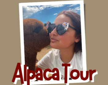 Alpaca Tour Photo of Patrick Kissing Attendee