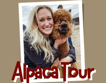 Alpaca Tour Photo of Adult Female Hugging Nellie