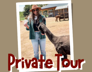 Cartoon Alpaca With Private Tour Words