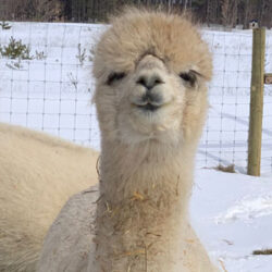 Faith Featured Image