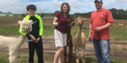 AlpacaArrival PrincessRebaandDolly