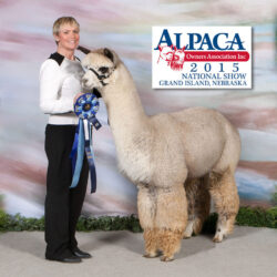FITCLeviticusNationalShowWinner