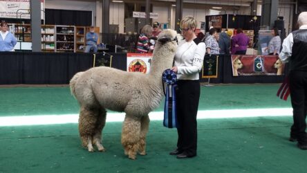 Leviticus and Nancy on Show Floor
