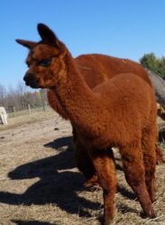 Walter October scaled