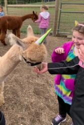 Adel Eating in Her Birthday Hat