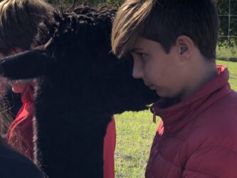 Bean Telling Secrets